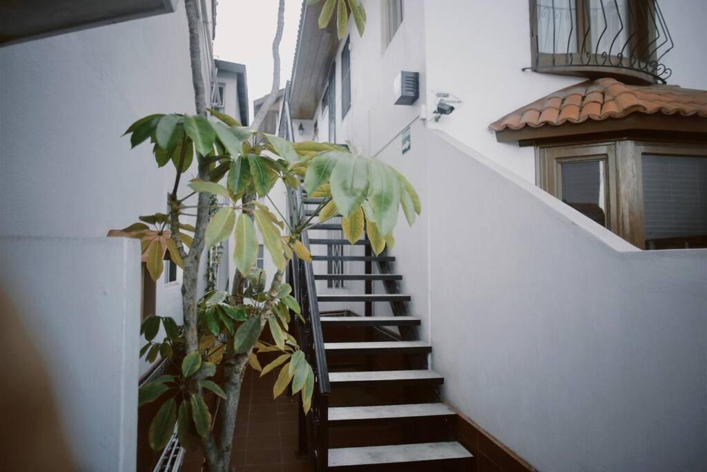 恩塞纳达港Casa Macfarland Boutique公寓 外观 照片