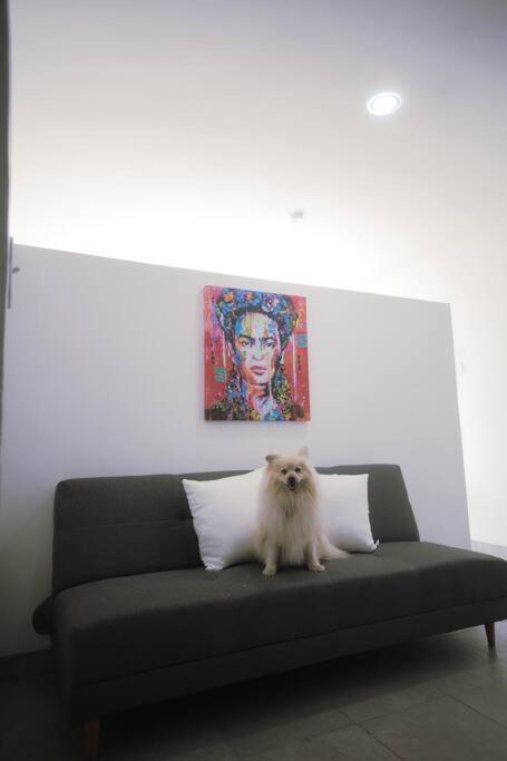 恩塞纳达港Casa Macfarland Boutique公寓 外观 照片